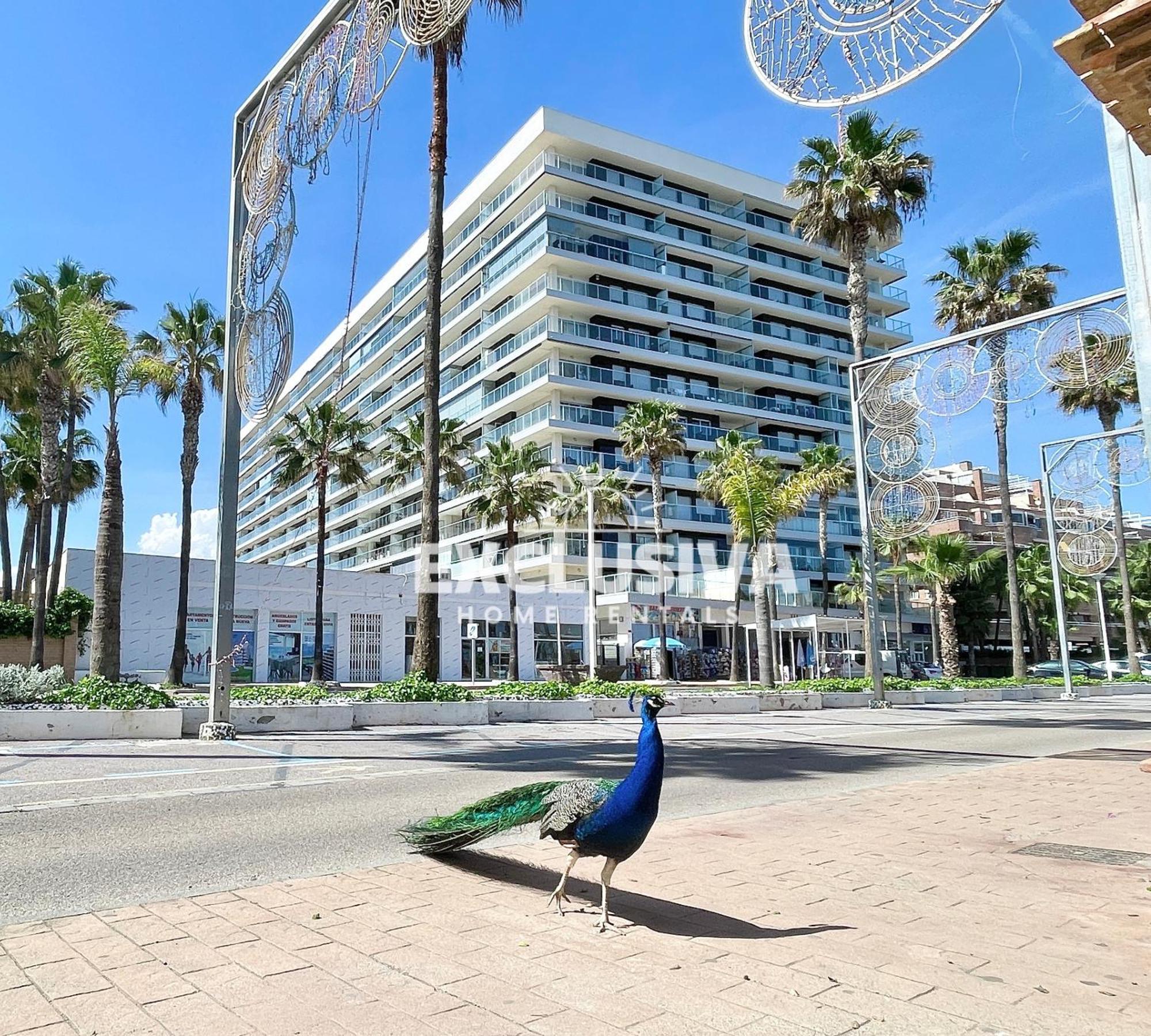 Apartamento Albamarina, 1ªlinea, Magic World, Vistas Al Mar! Oropesa del Mar Exterior foto
